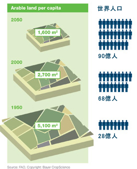 世界における人口1人当りの耕地面積は減少し続けています。