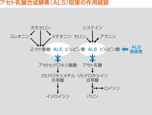 作用機作