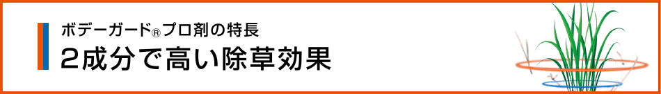 ２成分で高い除草効果