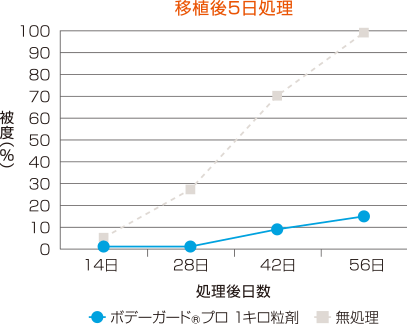 移植後5日処理