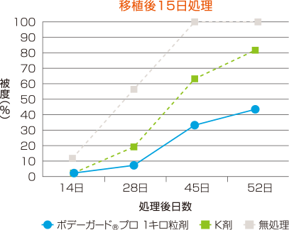 移植後15日処理