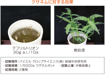 特殊雑草に対する効果