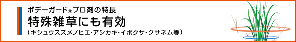 特殊雑草にも有効