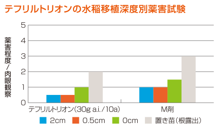 移植水稲への安全性