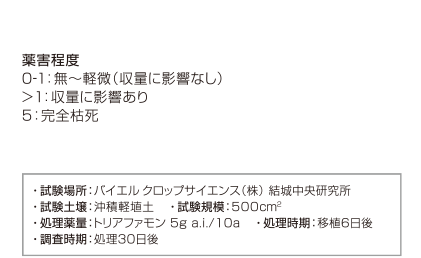 移植水稲への安全性