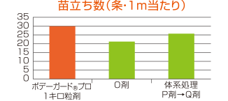 は種時処理の安全性