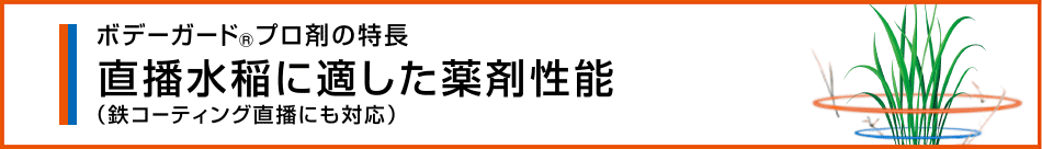 直播水稲に適した薬剤性能