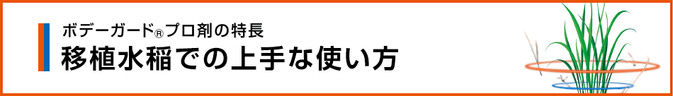 移植水稲での上手な使い方