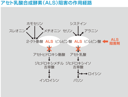 作用機作