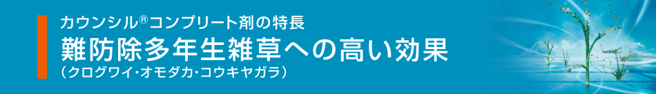 難防除多年生雑草への高い効果