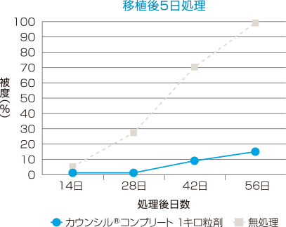 移植後5日処理