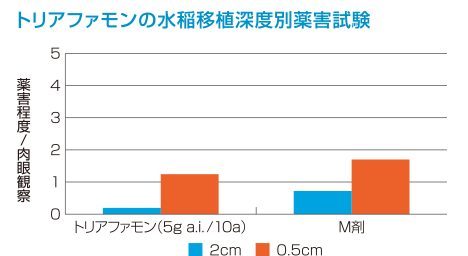 移植水稲への安全性