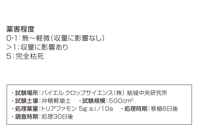 移植水稲への安全性