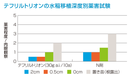 移植水稲への安全性