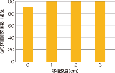 移植深度と水稲に対する安全性