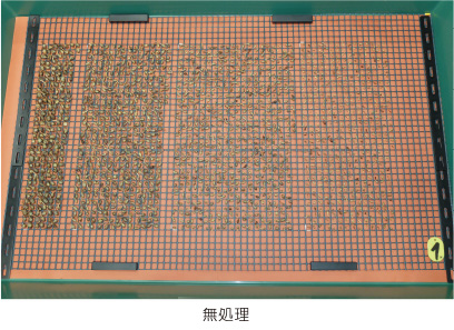 オモダカに対する塊茎形成抑制効果