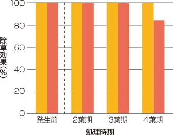 エフィーダ® のイヌホタルイに対する除草効果