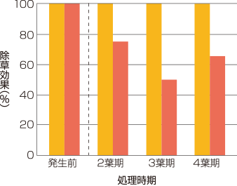 エフィーダ® のコナギに対する除草効果