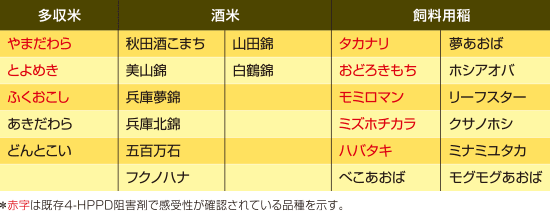 エフィーダ®の安全性が確認されている品種