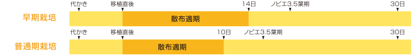 カウンシル®エナジー ジャンボ®の上手な使い方（移植水稲）