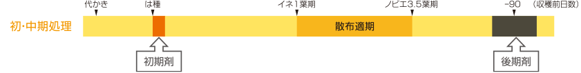 カウンシル®エナジー 1キロ粒剤の上手な使い方（直播水稲）