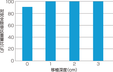 移植深度と水稲に対する安全性