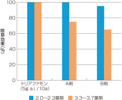 トリアファモンの高葉齢のノビエに対する除草効果