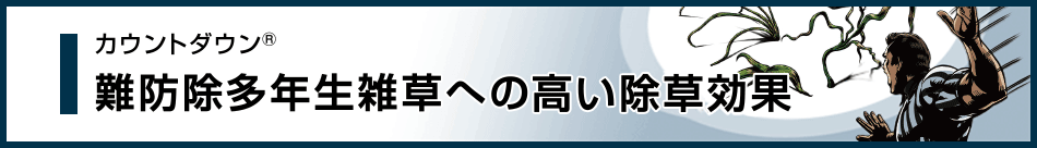 難防除多年生雑草への高い除草効果