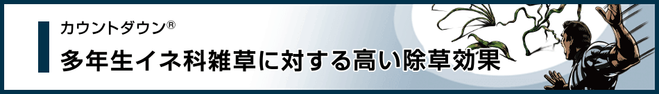 多年生イネ科雑草に対する高い除草効果