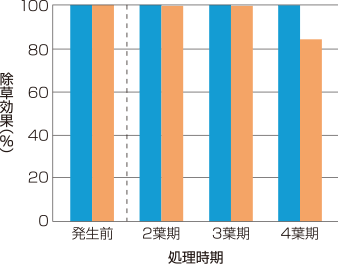 エフィーダ® のイヌホタルイに対する除草効果