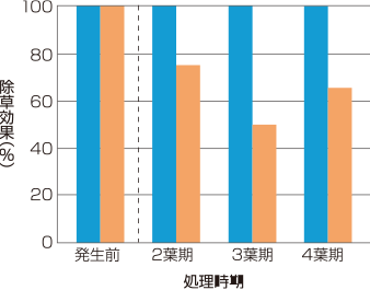 エフィーダ® のコナギに対する除草効果