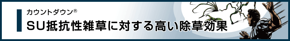 SU抵抗性雑草に対する高い除草効果