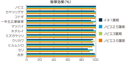 カウントダウン® フロアブル