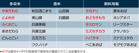 エフィーダ®の安全性が確認されている品種