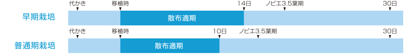 カウントダウン®1キロ粒剤の上手な使い方（移植水稲）