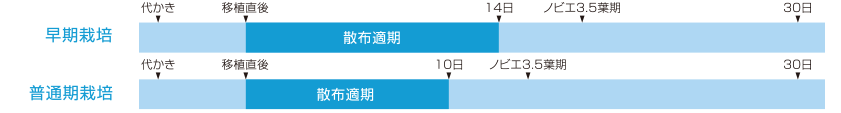 カウントダウン®ジャンボ®の上手な使い方（移植水稲）