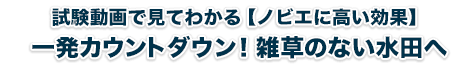 試験動画で見てわかる【ノビエに高い効果】一発カウントダウン！雑草のない水田へ