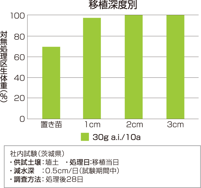 移植深度別