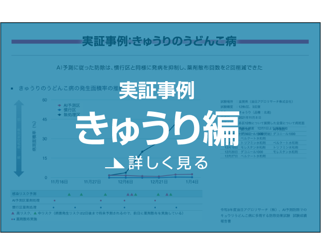 実証事例きゅうり編