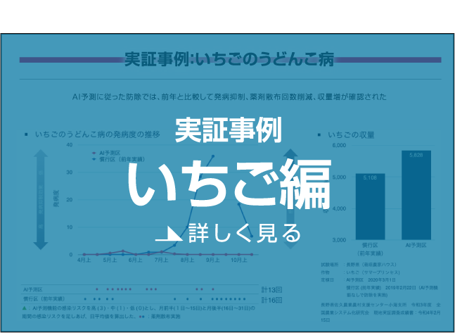 実証事例いちご編