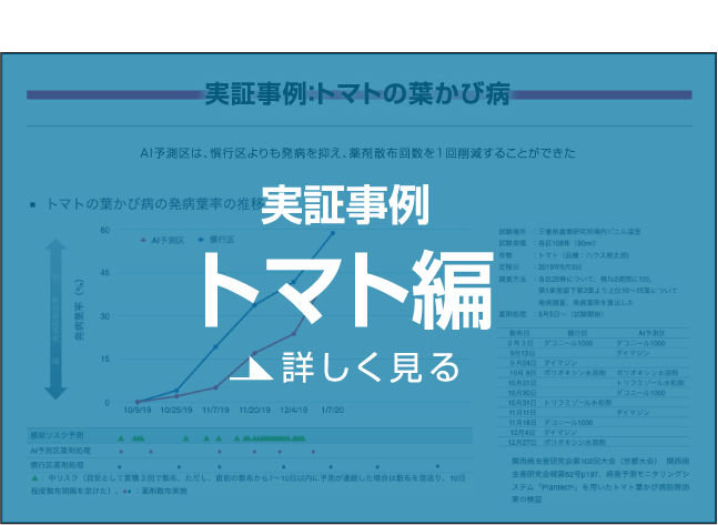 実証事例トマト編