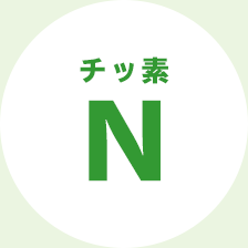 チッ素Ｎ