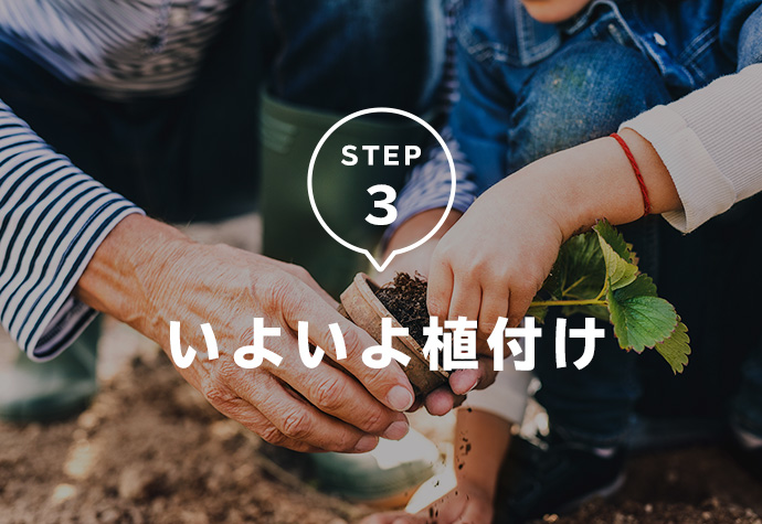 STEP3 いよいよ植付け