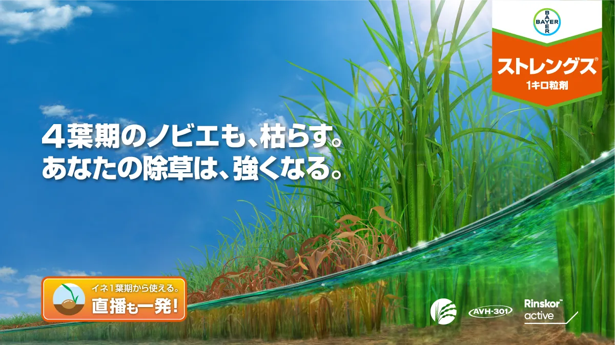 4葉期のノビエも、枯らす。あなたの除草は、強くなる。