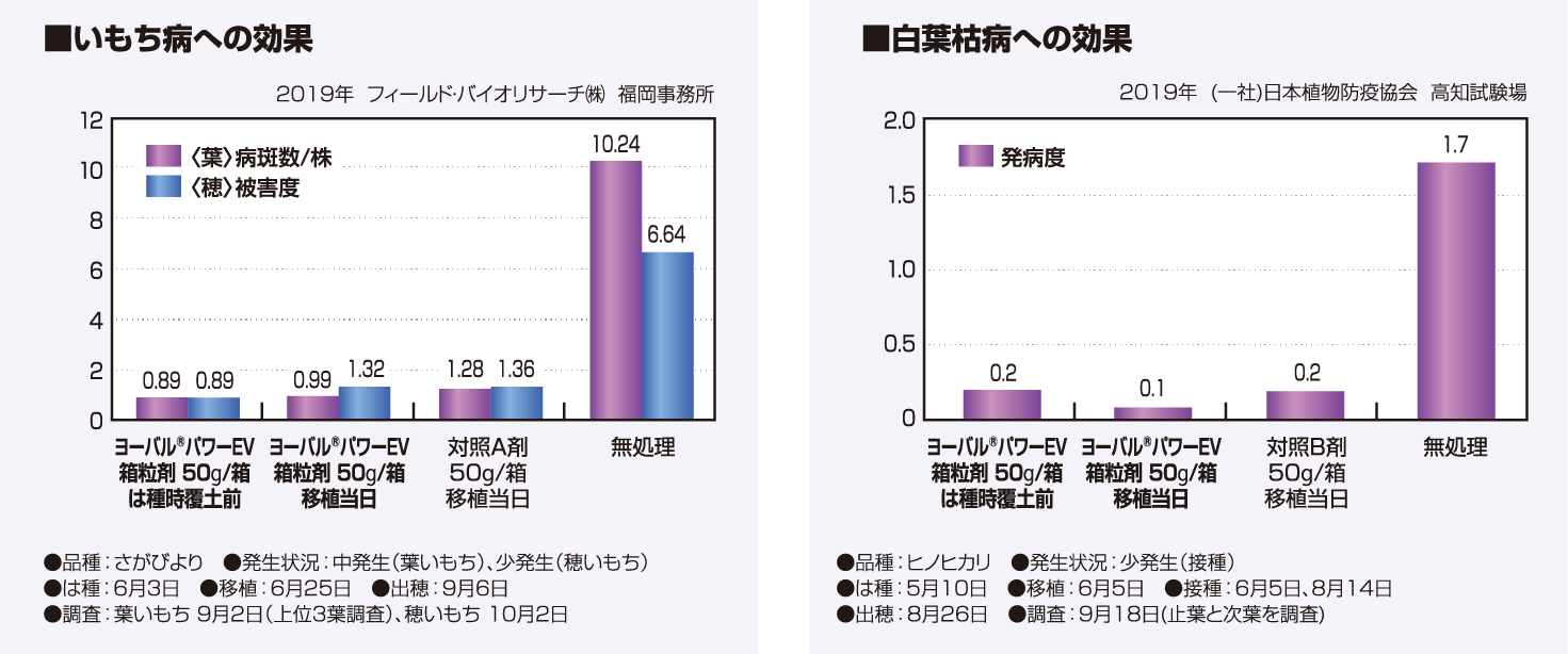 いもち病、白葉枯病への効果