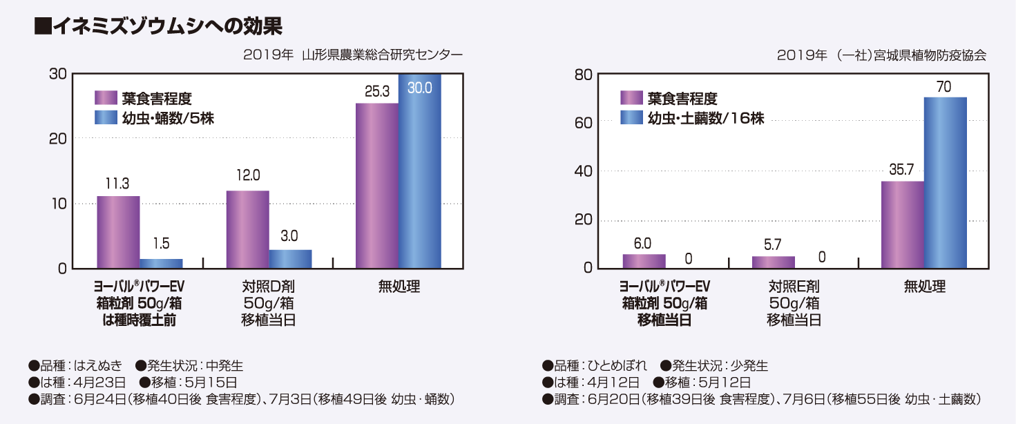 イネミズゾウムシへの効果