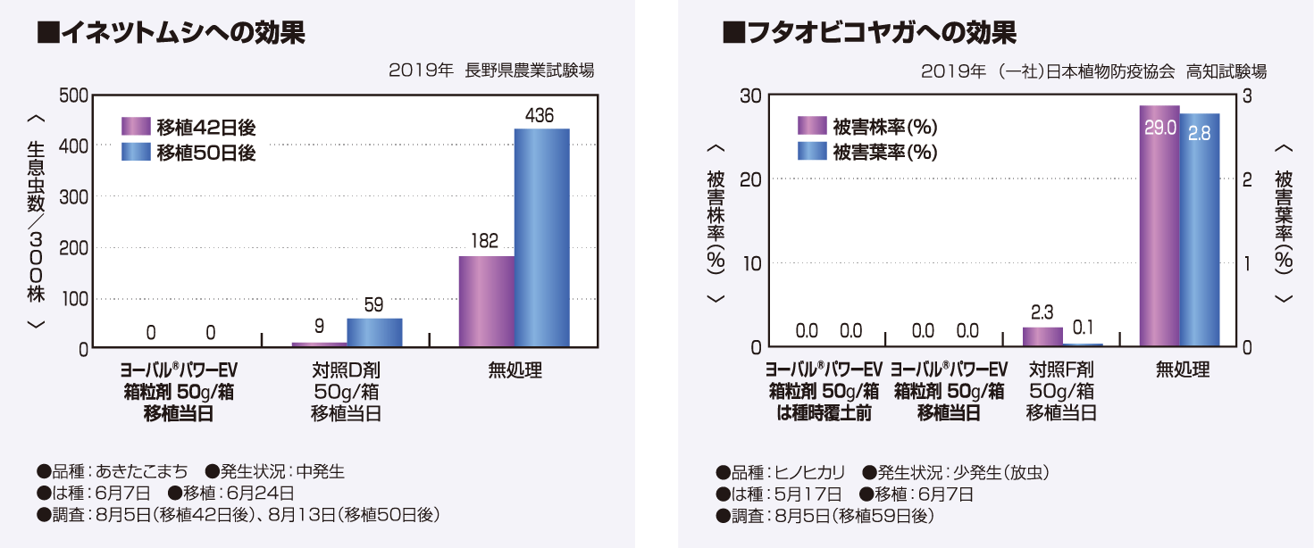 イネツトムシ、フタオビコヤガへの効果