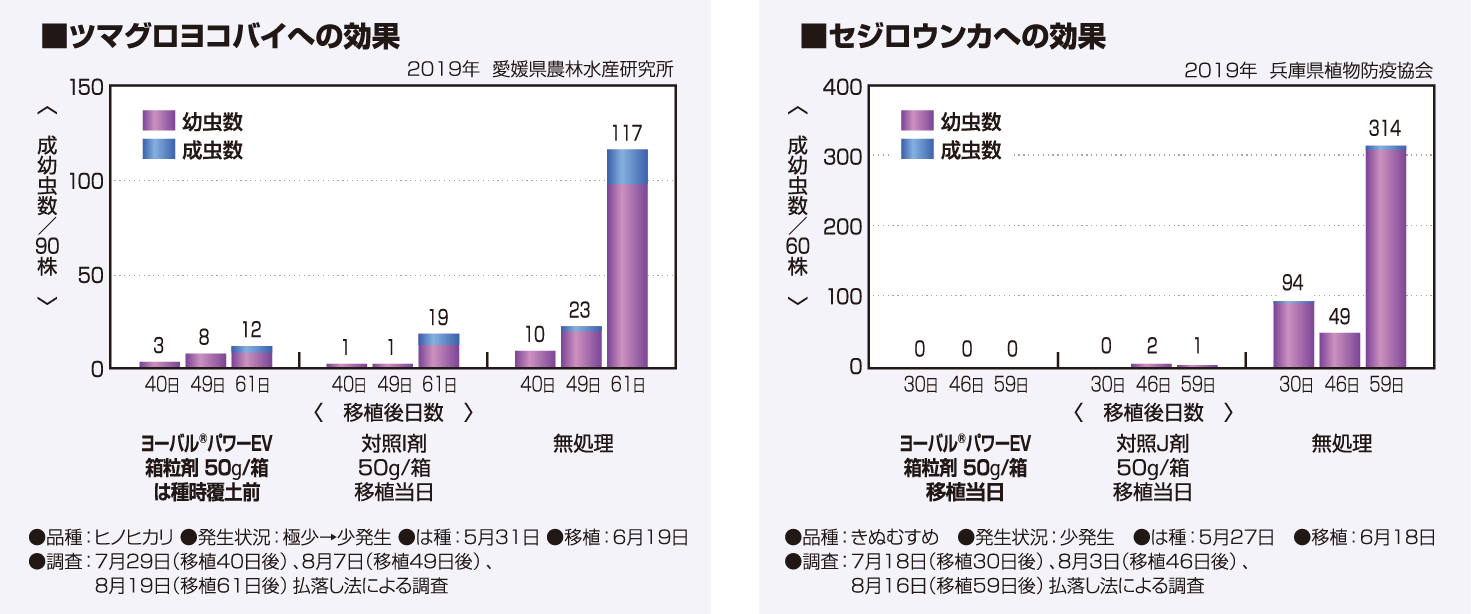 ツマグロヨコバイ、セジロウンカへの効果