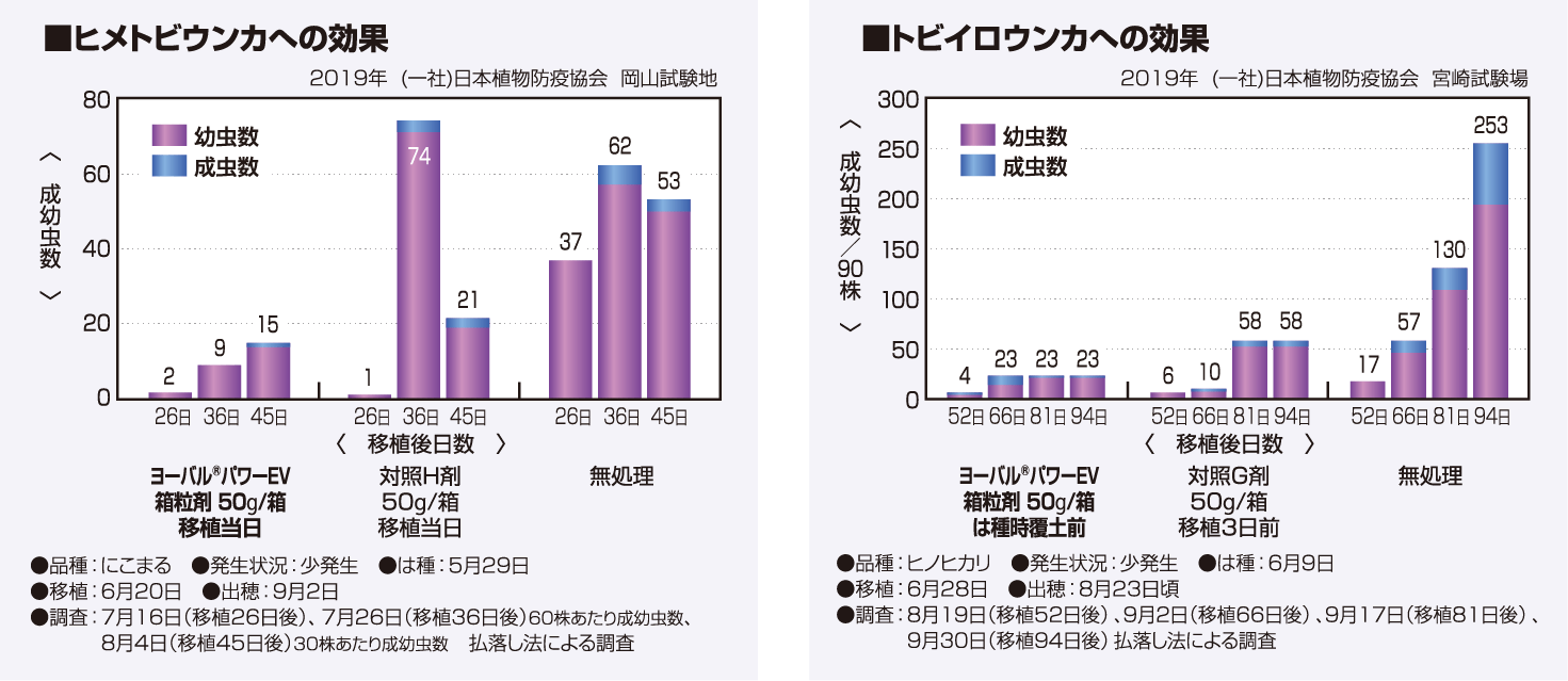 ヒメトビウンカ、トビイロウンカへの効果