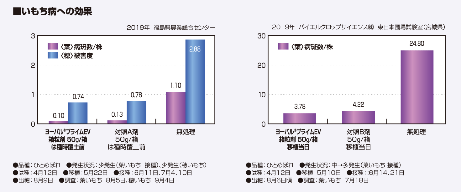 いもち病への効果